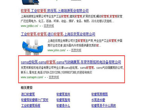 斯拓軟管泵SEO優(yōu)化排名