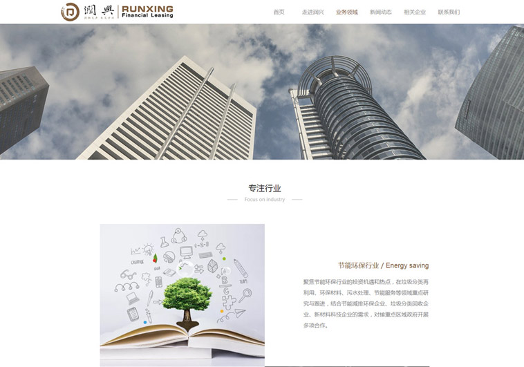潤(rùn)興融資租賃網(wǎng)站設(shè)計(jì)案例